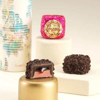 Venchi Chocoviar Lampone Raspberry Chocolate